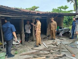 Puluhan Tenda Biru di Jalan SM Amin Dibongkar Tim Gabungan