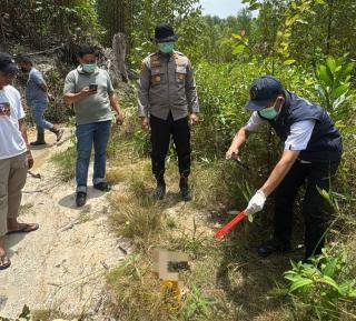 Kerangka Manusia Ditemukan Berserakan di Areal PT RAPP 