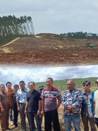 Diduga Kangkangi Putusan MA, PT Arara Abadi Terus Babat Akasia di Lahan Adat Batin Sengeri