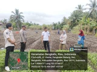 Ropita Terharu Bhabin Polsek Bengkalis Turut Bantu Sulap Pekarangan Jadi Kebun Sayur