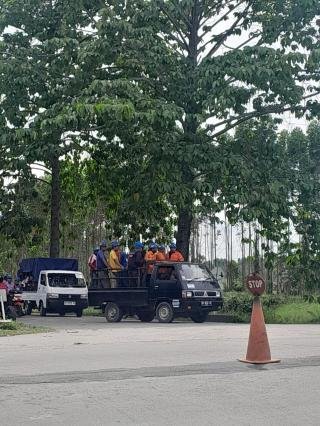 Langgar UU No 22 Tahun 2009, Mitra Kerja PT IKPP Perawang Pakai Mobil Angkut Barang Bawa Karyawan