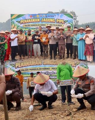 Kapolres Pelalawan Bersama Forkopimda Kompak Tanam Jagung, Perkuat Ketahanan Pangan 