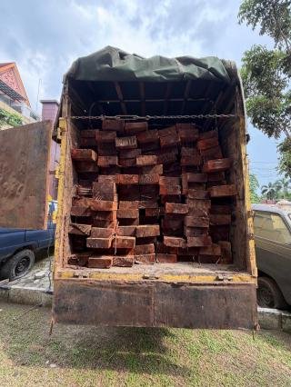 Sopir Angkut Kayu Diduga Hasil Pembalakan di Cagar Biosfer Ditangkap Polda Riau 
