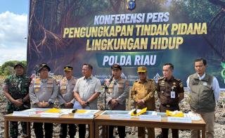Kapolda Riau Tinjau Kerusakan 118,21 Hektare Mangrove, Tetapkan Dua Orang Tersangka