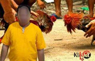 Gerebek Gelanggang Sabung Ayam di Kempas, Polres Inhil Amankan 28 Ekor Ayam Jago