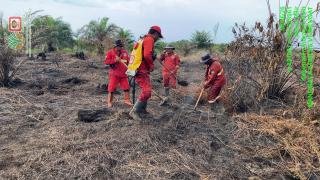 Manggala Agni Tuntaskan Pemadaman Karhutla di Sekip Hilir, Fokus Mopping Up di Sungai Raya