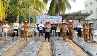 Dukung Ketahanan Pangan Nasional, Polsek Rupat Utara Tanam Jagung Pipil di Desa Kadur