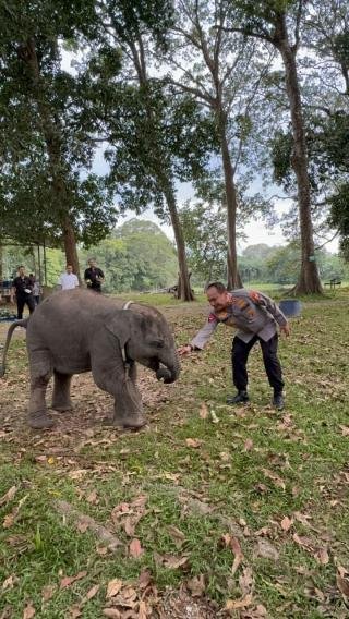Kapolda Riau Patroli Perambahan Hutan dan Tinjau Kawasan Konservasi TWA Buluh Cina