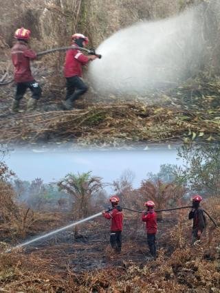 Turunkan Tim RPK, PT Arara Abadi Berjibaku Padamkan Karhutla di Teluk Meranti
