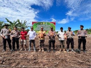 Polsek Rupat Bersama Kelompok Tani Tanam Jagung Serentak Kuartal III Satu Hektare 