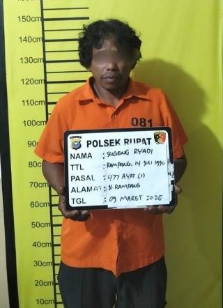 Polsek Rupat Ringkus Ninja Sawit, Sita 158 TBS