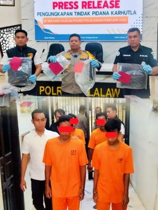 Polres Pelalawan Tangkap Empat Pelaku Pembakar Lahan