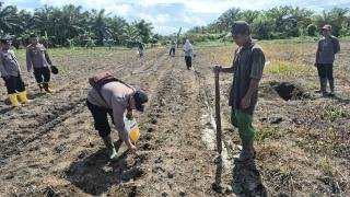 Polsek Sungai Sembilan Tanam Jagung Pipil di Lahan Poktan Mekar Sekuntum