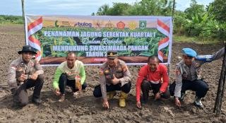 Kapolsek Rupat Pimpin Penanaman Jagung Pipil di Lahan 1 Hektare