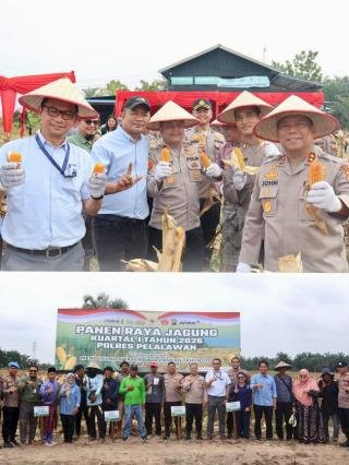 Polres Pelalawan Panen Raya Jagung Kuartal I 2026, Hasilnya Capai 12 Ton