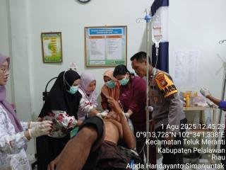 Diserang Harimau, Pekerja Akasia di Areal Tanaman PT Arara Abadi Patah Lengan 