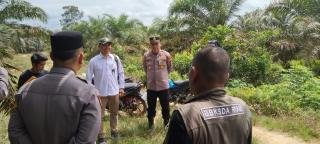 Warga Penghidupan Diteror Tiga Ekor Harimau, Ini Langkah yang Dilakukan BBKSDA Riau 