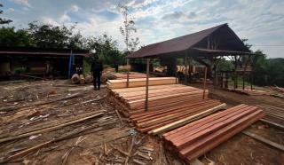 Polda Riau Tangkap Pengawas Sawmill, Sita Ratusan Batang Kayu Olahan Hasil Illegal Logging