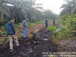 Pemancing Bertemu Harimau hanya Berjarak Empat Meter di Siak, BBKSDA Riau Lakukan Ini