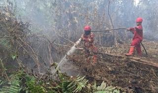 Manggala Agni Tambah Personel Padamkan Karhutla di Rohil, Diperkirakan Capai 44 Hektare
