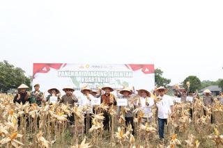 Polda Riau Panen Raya Jagung Serentak Kuartal III Seluas 8,2 Ha, Ini Hasilnya