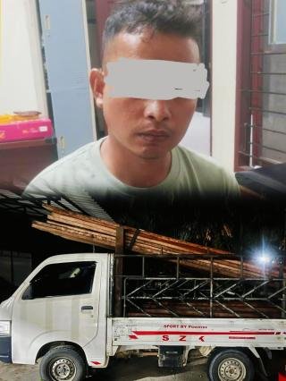 Nekat Angkut Tiga Kubik Kayu Ilegal, Warga Teluk Meranti Ditangkap Polisi