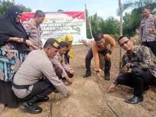 Dikomandoi AKP Asdisyah, Polsek Kampar Bersama Kades dan KWT Tanam Jagung di Rumbio Jaya