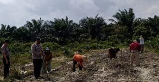 Lahan Ketapang Polsek Kandis Terus Berkembang, Harapan Nyata Poktan Ayu Makmur