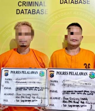 Disergap dalam Rumah, Polres Pelalawan Tangkap Dua Pemuda Simpan Sabu 