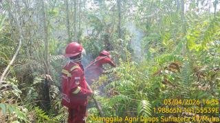 310 Hotspot Terdeteksi di Riau, Didominasi Wilayah Pesisir dan Lahan Gambut