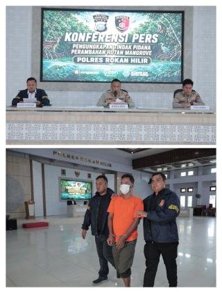 Perambah Hutan Mangrove Ditangkap, Kapolres Rohil: Jangan Coba-coba Garap Tanpa Izin!