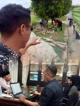 Satpol PP Pelalawan Periksa Warga Tebang Pohon di Jalan Protokol