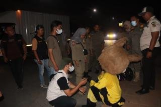 Razia Gepeng, Satpol PP Dapati 5 Anak di Bawah Umur Dipekerjakan 