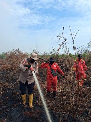 Tim Gabungan Berjibaku Padamkan Api Karhutla 25 Hektare di Rupat 