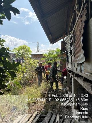 Harimau Remaja Mangsa Ayam dan Kucing Warga Desa Benteng Hulu Siak