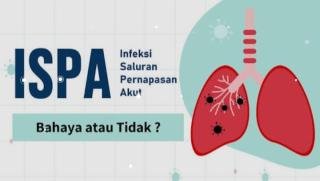 Kabut Asap Mulai Hilang, Warga Pekanbaru Terdampak ISPA Capai 4.987 Orang