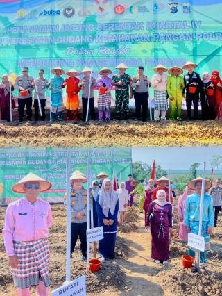 Polres Pelalawan Tanam Jagung Kuartal IV di Lubuk Ogung, Dukung Wujudkan Swasembada Pangan