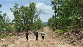 Kades Ditangkap Jual Ratusan Hektare Lahan Hutan Beserta Komplotannya