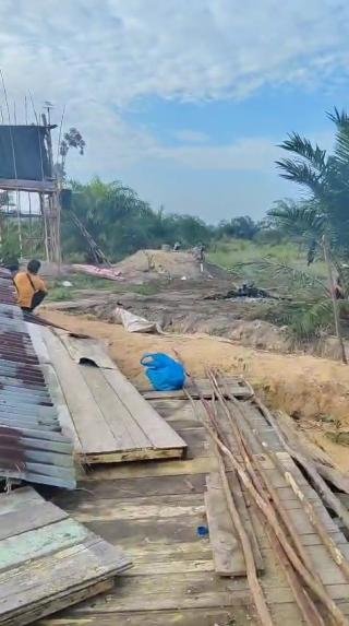 Duka di Tengah Kebun Sawit, Natalia Tewas Diamuk Gajah 