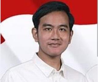 Gibran Diagendakan Buka Pacu Jalur Teluk Kuantan 2024