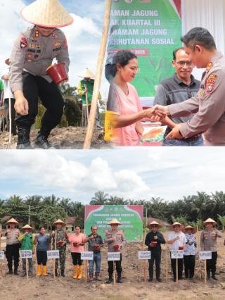 Langkah Konkret Menuju Swasembada Pangan, Polres Pelalawan Bersama PT PSJ Tanam Jagung